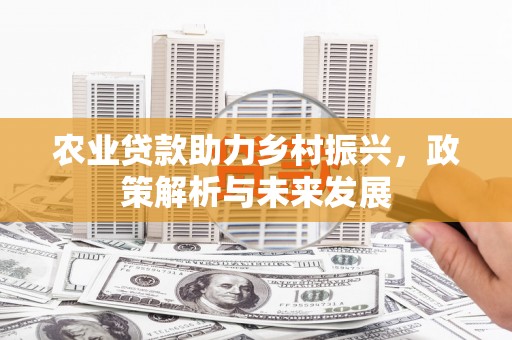 代县农业贷款助力乡村振兴，政策解析与未来发展