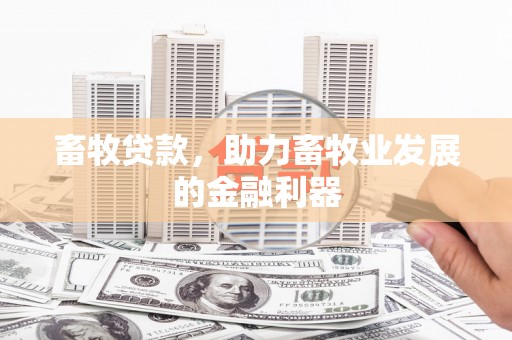 代县畜牧贷款，助力畜牧业发展的金融利器