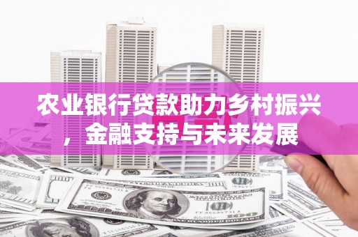 代县农业银行贷款助力乡村振兴，金融支持与未来发展