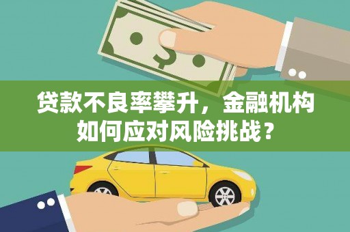 代县贷款不良率攀升，金融机构如何应对风险挑战？