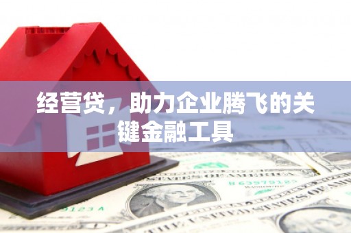 代县经营贷，助力企业腾飞的关键金融工具