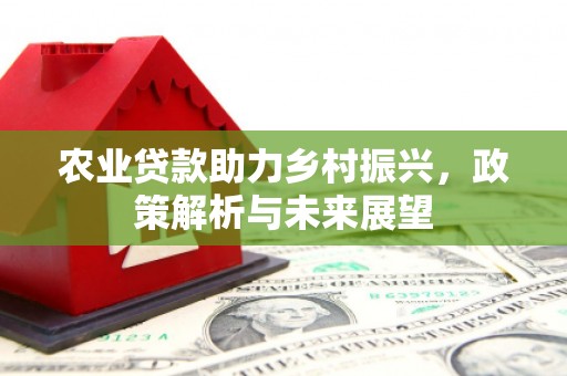 代县农业贷款助力乡村振兴，政策解析与未来展望