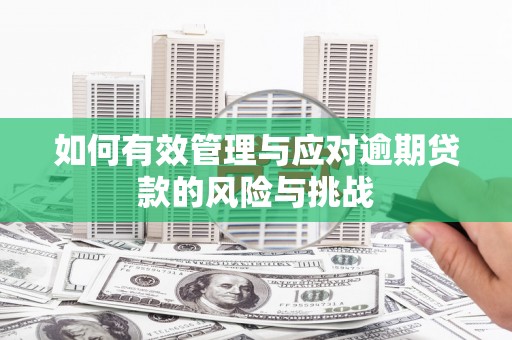 代县如何有效管理与应对逾期贷款的风险与挑战