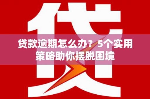 代县贷款逾期怎么办？5个实用策略助你摆脱困境
