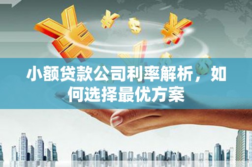 代县小额贷款公司利率解析，如何选择最优方案