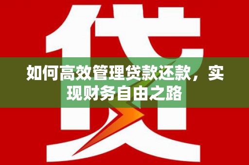 代县如何高效管理贷款还款，实现财务自由之路