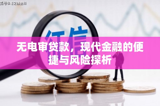 代县无电审贷款，现代金融的便捷与风险探析