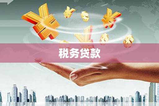 代县税务贷款