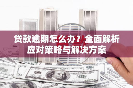 代县贷款逾期怎么办？全面解析应对策略与解决方案