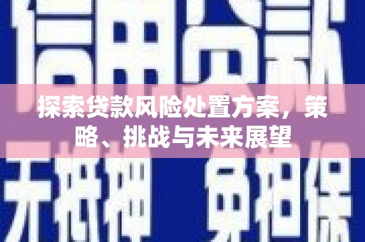 代县探索贷款风险处置方案，策略、挑战与未来展望