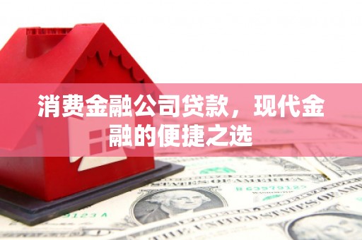 代县消费金融公司贷款，现代金融的便捷之选