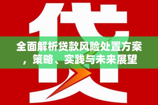 代县全面解析贷款风险处置方案，策略、实践与未来展望