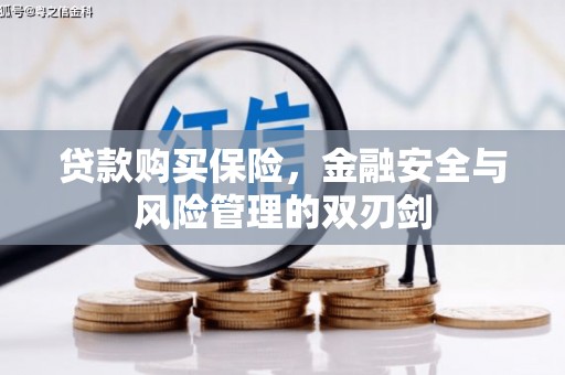 代县贷款购买保险，金融安全与风险管理的双刃剑
