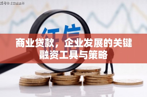 代县商业贷款，企业发展的关键融资工具与策略