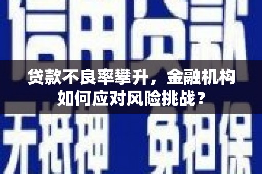 代县贷款不良率攀升，金融机构如何应对风险挑战？