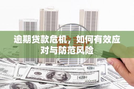 代县逾期贷款危机，如何有效应对与防范风险
