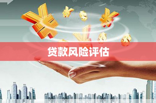 代县贷款风险评估
