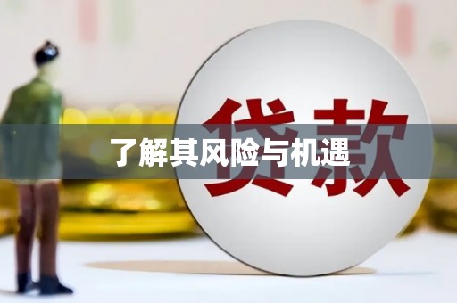 代县了解其风险与机遇