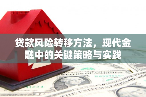 代县贷款风险转移方法，现代金融中的关键策略与实践