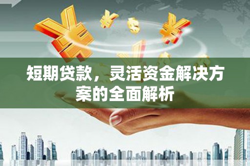 代县短期贷款，灵活资金解决方案的全面解析