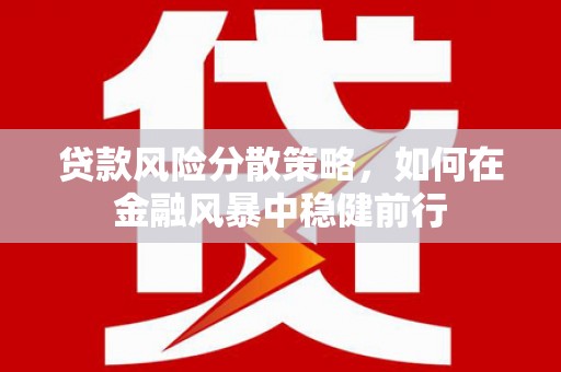代县贷款风险分散策略，如何在金融风暴中稳健前行