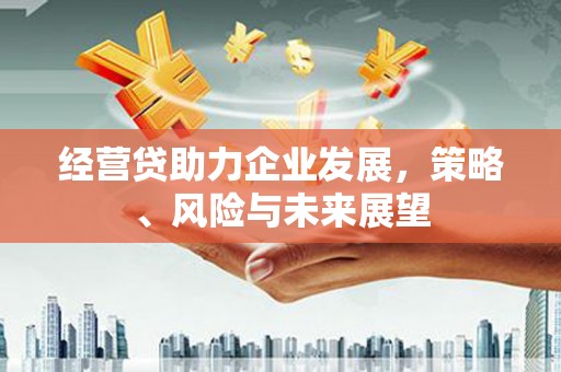 代县经营贷助力企业发展，策略、风险与未来展望