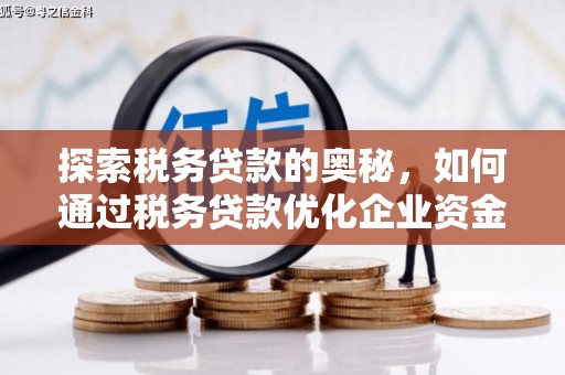 代县探索税务贷款的奥秘，如何通过税务贷款优化企业资金流