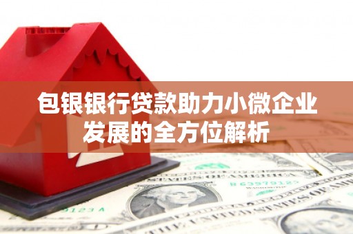 代县包银银行贷款助力小微企业发展的全方位解析 代县包银银行贷款助力小微企业发展的全方位解析