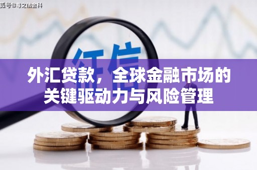 代县外汇贷款，全球金融市场的关键驱动力与风险管理