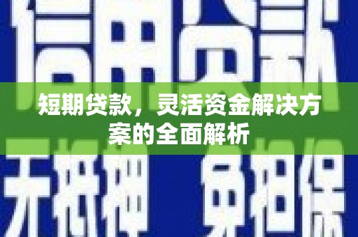 代县短期贷款，灵活资金解决方案的全面解析