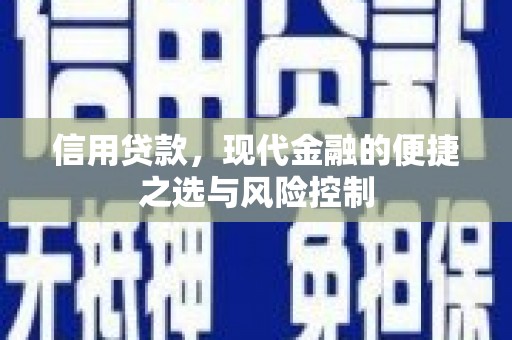 代县信用贷款，现代金融的便捷之选与风险控制