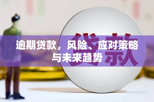 代县逾期贷款，风险、应对策略与未来趋势