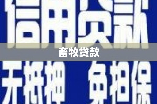 代县畜牧贷款