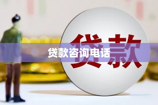 代县贷款咨询电话