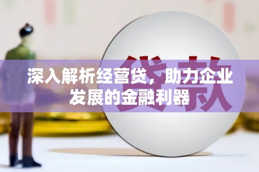 代县深入解析经营贷，助力企业发展的金融利器