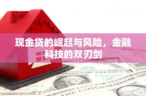 代县现金贷的崛起与风险，金融科技的双刃剑