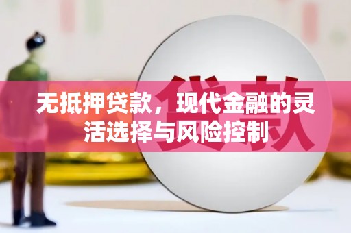 代县无抵押贷款，现代金融的灵活选择与风险控制