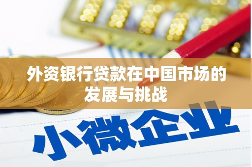 代县外资银行贷款在中国市场的发展与挑战