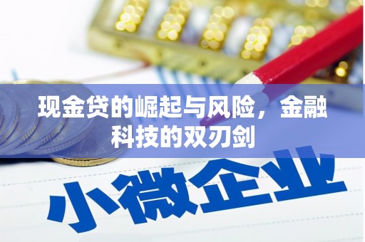 代县现金贷的崛起与风险，金融科技的双刃剑