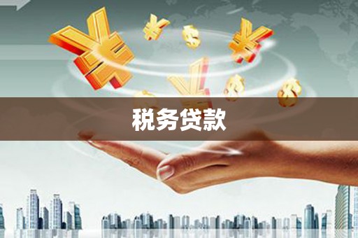 代县税务贷款
