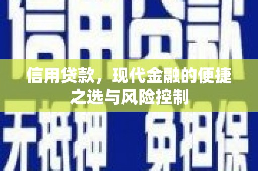 代县信用贷款，现代金融的便捷之选与风险控制