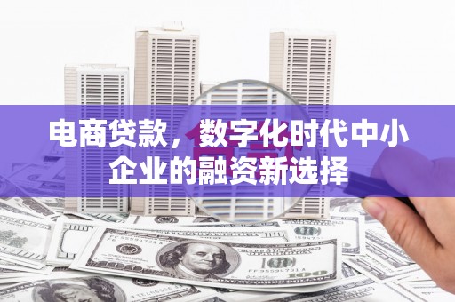 代县电商贷款，数字化时代中小企业的融资新选择