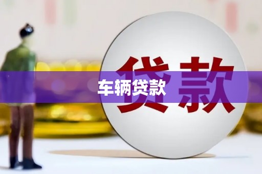 代县车辆贷款