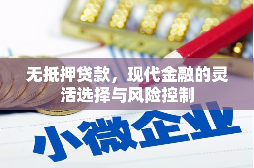 代县无抵押贷款，现代金融的灵活选择与风险控制