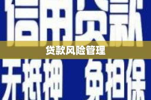 代县贷款风险管理