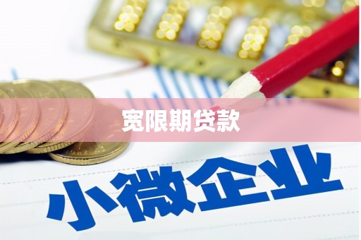 代县宽限期贷款