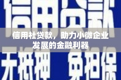 代县信用社贷款，助力小微企业发展的金融利器