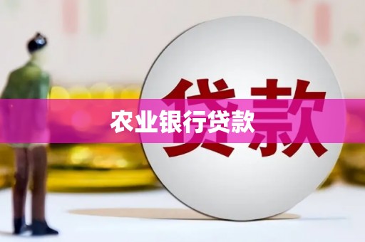 代县农业银行贷款