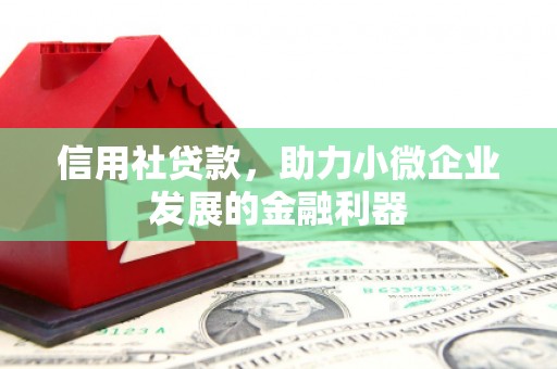 代县信用社贷款，助力小微企业发展的金融利器