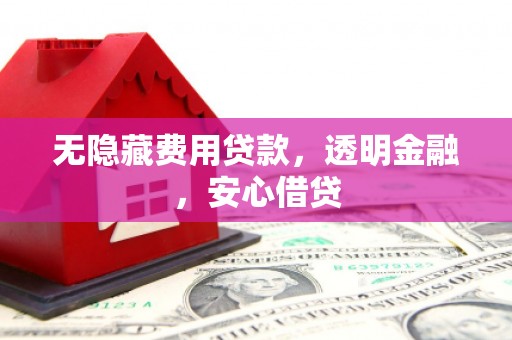 代县无隐藏费用贷款，透明金融，安心借贷